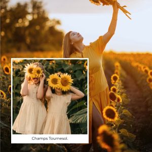 seance-photo-famille-ete-champs-de-tournesol-exterieur-sainte-therese-repentigny-passion-maternite