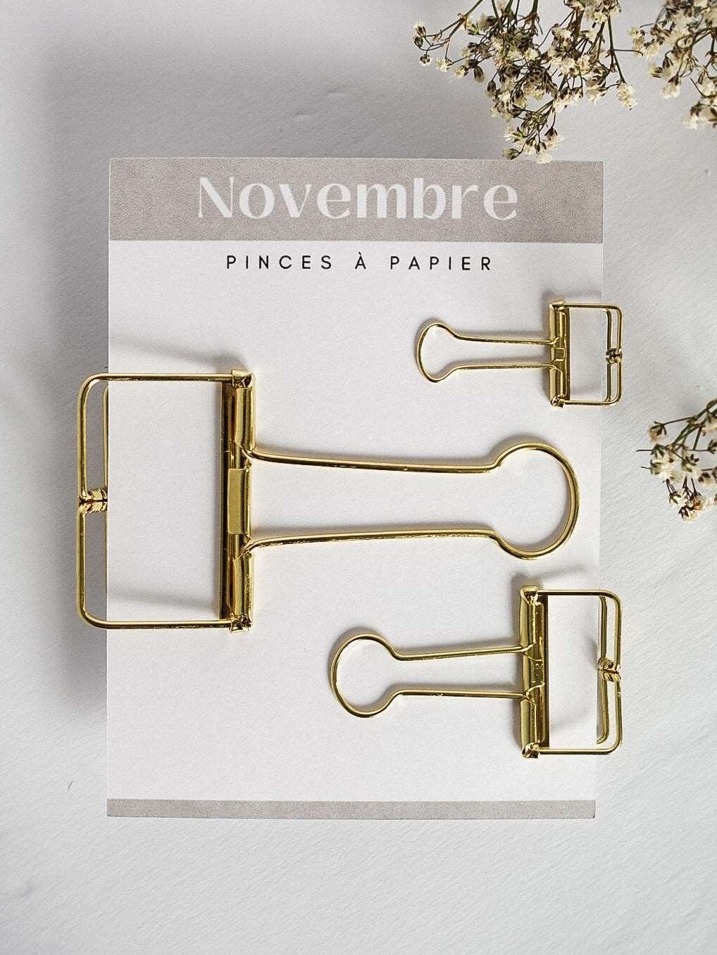 Pinces à papier (petit, moyen, grand)